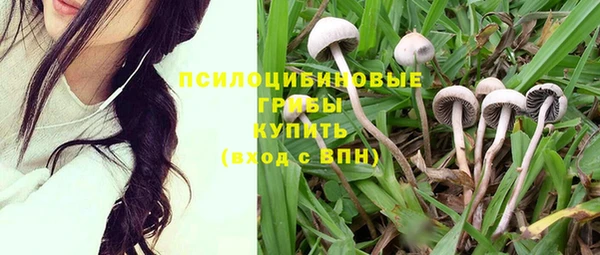 скорость Ладушкин