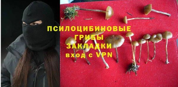 скорость Ладушкин