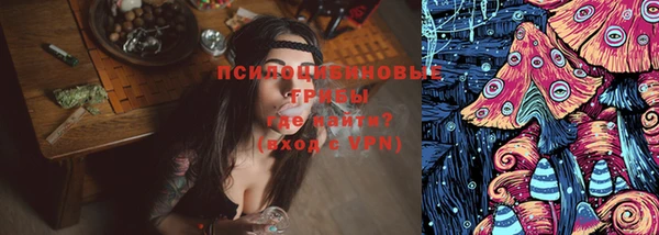 скорость Ладушкин