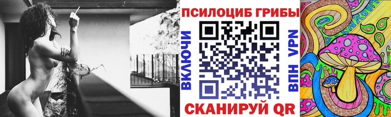 Купить где Навашино Галлюциногенные грибы MAGIC MUSHROOMS
